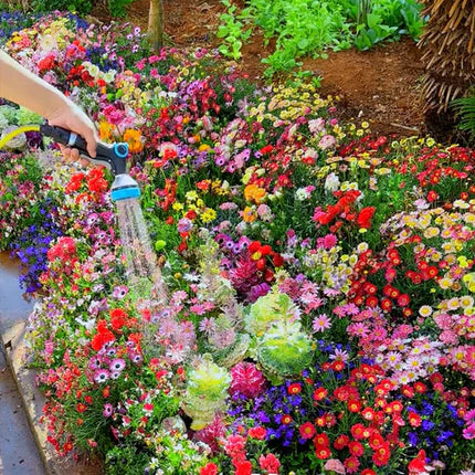🔥Last day clearance💝Mixed Perennial Flowers Seeds-Over 60 kinds mixed