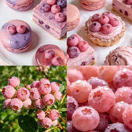 Premium Pink Blueberry SeedsA Uniquely Delightful Taste